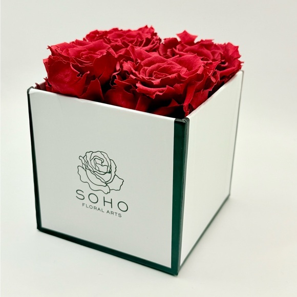 Soho Forever Roses 4 Preserved Red Roses in a Gift Box 4.5”x4”x4” Flowers - Picture 1 of 3